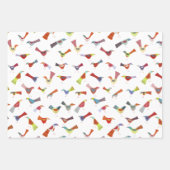 Feuille De Papier Cadeau Amusant Rainbow Bird (Devant 3)