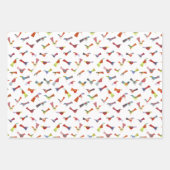 Feuille De Papier Cadeau Amusant Rainbow Bird (Devant 2)