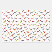 Feuille De Papier Cadeau Amusant Rainbow Bird (Devant)