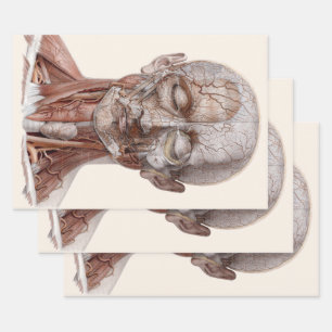 Feuille De Papier Cadeau Anatomie humaine vintage science, tête gorge nez