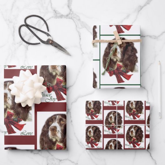 Feuille De Papier Cadeau Anglais Springer Spaniel Christmas (Recto)