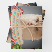 Feuille De Papier Cadeau Angora Cat Holiday (En situation)