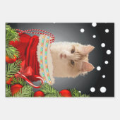 Feuille De Papier Cadeau Angora Cat Holiday (Devant)