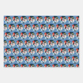 Feuille De Papier Cadeau Animaniacs | Warner Siblings Circle Graphic (Devant 3)