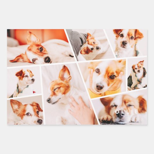 Feuille De Papier Cadeau Animaux de compagnie Moderne Simple Personnalisé 9 (Devant)