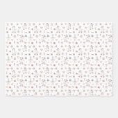 Feuille De Papier Cadeau Anniversaire de l'oie sotte (Devant 3)