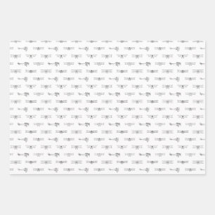 Feuille De Papier Cadeau Antique Airplanes Aviation Art CUSTOM COLEUR