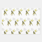 Feuille De Papier Cadeau Aquarelle à l'oeil délicate (Devant 2)