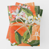 Feuille De Papier Cadeau Aquarelle agrumes de pamplemousse moderne tropical (En situation)