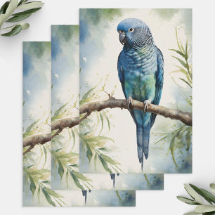 Feuille De Papier Cadeau Aquarelle bleu Parakee Eucalyptus Découpage