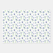 Feuille De Papier Cadeau Aquarelle Blueberry (Devant 3)