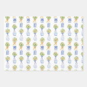 Feuille De Papier Cadeau Aquarelle Chinoiserie Orange Tree Topiary (Devant 3)