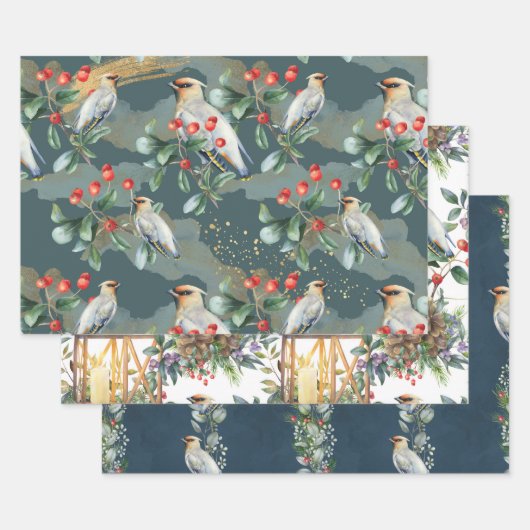 Feuille De Papier Cadeau Aquarelle Oiseau et design lanterne Noël (Lot)