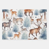 Feuille De Papier Cadeau Aquarelle Woodland Whimsy : Une Médaille de Gentle (Devant 3)