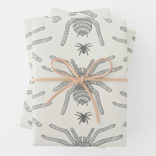 Feuille De Papier Cadeau Araignée (En situation)