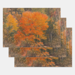 Feuille De Papier Cadeau Arbres Automne Forêt Boisé Orange Croquis Art