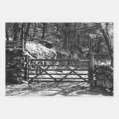 FEUILLE DE PAPIER CADEAU ARBRES NOIRS ET BLANCS ET PORTE (Devant)