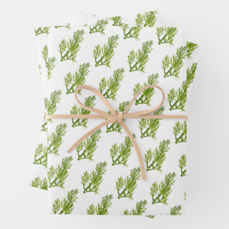 Feuille De Papier Cadeau Art d'aneth