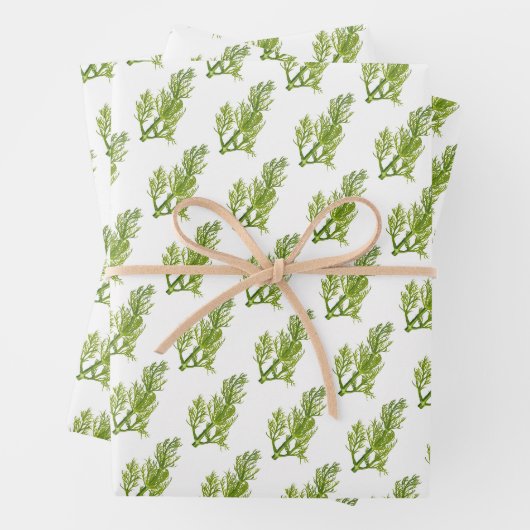 Feuille De Papier Cadeau Art d'aneth (En situation)