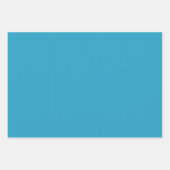 Feuille De Papier Cadeau Art déco Bateaux à cygne Boston (Devant 2)