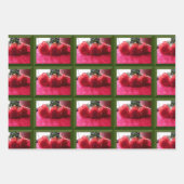 Feuille De Papier Cadeau Assorted Rose Images Wrapping Paper Sheets (Devant)