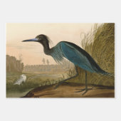 Feuille De Papier Cadeau Audubon Bird Loon Diver Classic (Devant 2)