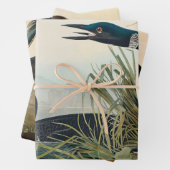 Feuille De Papier Cadeau Audubon Bird Loon Diver Classic (En situation)