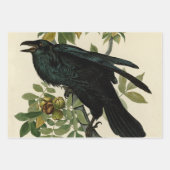 Feuille De Papier Cadeau Audubon Cèdre cire oiseau (Devant 3)
