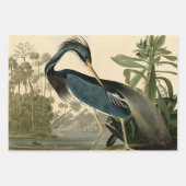 Feuille De Papier Cadeau Audubon Cèdre cire oiseau (Devant 2)