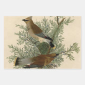 Feuille De Papier Cadeau Audubon Cèdre cire oiseau (Devant)