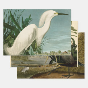 Feuille De Papier Cadeau Audubon Héron de neige Oiseaux d'aigrettes blanche