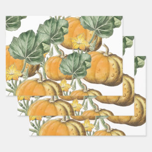 Feuille De Papier Cadeau Automne Aquarelle d'automne Citrouilles Vintages