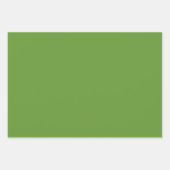 Feuille De Papier Cadeau Avocado Green (Devant)