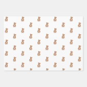 Feuille De Papier Cadeau Baby shower classique Teddy Bear Sage Green Bow (Devant)