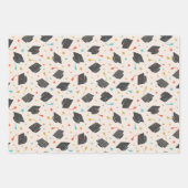 Feuille De Papier Cadeau Bac de diplôme, Tassel et Confetti (Devant)