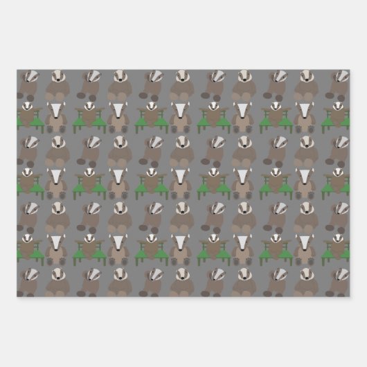 Feuille De Papier Cadeau Badger (Devant 2)