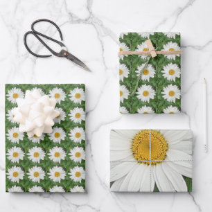 Feuille De Papier Cadeau Baise blanche
