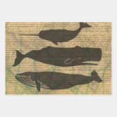 Feuille De Papier Cadeau Baleine antique Vie marine (Devant 3)