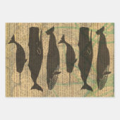 Feuille De Papier Cadeau Baleine antique Vie marine (Devant 2)