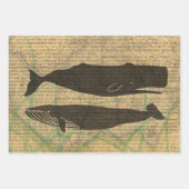 Feuille De Papier Cadeau Baleine antique Vie marine (Devant)