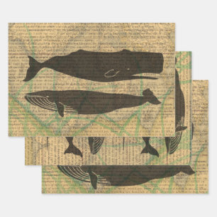 Feuille De Papier Cadeau Baleine antique Vie marine