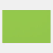 Feuille De Papier Cadeau Bandes de menthe (Devant 3)