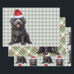 Feuille De Papier Cadeau Barbet Christmas Chien vert Plaid<br><div class="desc">Un adorable chien de Barbet est prêt pour la saison des fêtes avec un casquette de vacances. Ce mignon chien de Noël est jumelé à un plaid de vacances vert et blanc sur cet ensemble d'enveloppement cadeau pour l'amoureux des chiens.</div>