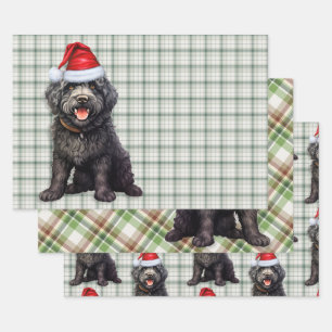 Feuille De Papier Cadeau Barbet Christmas Chien vert Plaid