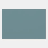 Feuille De Papier Cadeau Bateau en roquette beige pastel doux (Devant 2)