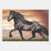 Feuille De Papier Cadeau Beau Cheval Noir (Devant)