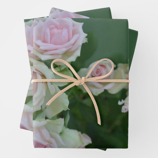 Feuille De Papier Cadeau Beau jardin rose clair roses (En situation)