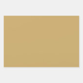 Feuille De Papier Cadeau Beau thème Safari vert et or   (Devant 2)