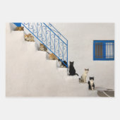 Feuille De Papier Cadeau Beaucoup de chats sur un escalier blanc dans un vi (Devant 3)