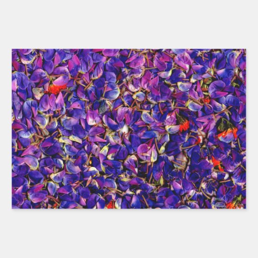 Feuille De Papier Cadeau Beaucoup de pétales de Lupine  (Devant)
